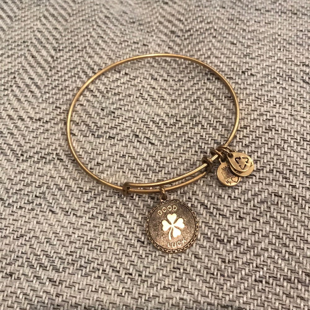 Alex and Ani bracelet